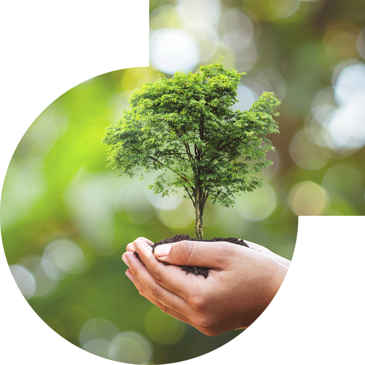 关怀人类、文化、环境与社会